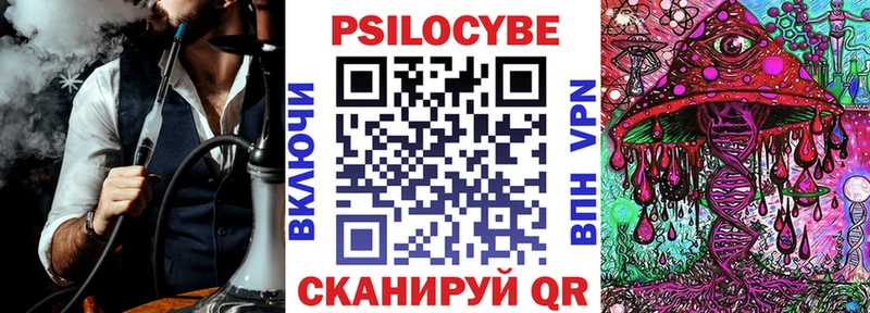 Псилоцибиновые грибы Cubensis Вяземский